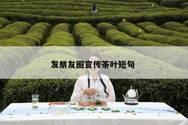 发朋友圈宣传茶叶短句 