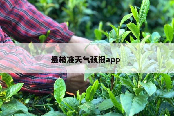 最精准天气预报app 