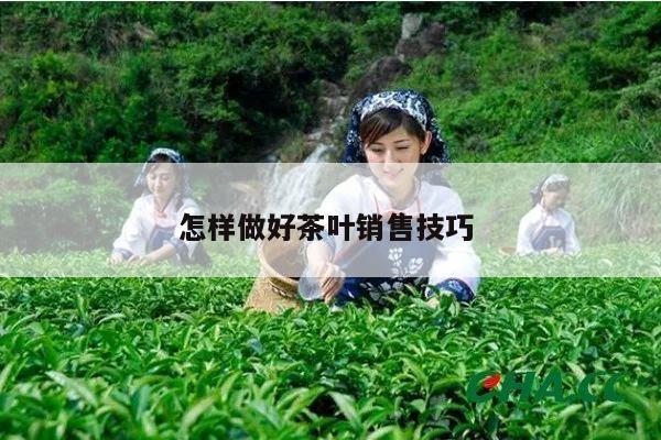 怎样做好茶叶销售技巧 