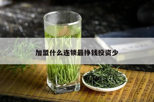 加盟什么连锁最挣钱投资少