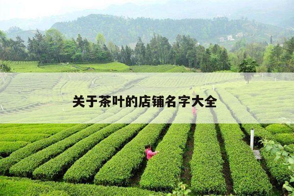 关于茶叶的店铺名字大全 