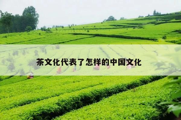 茶文化代表了怎样的中国文化 