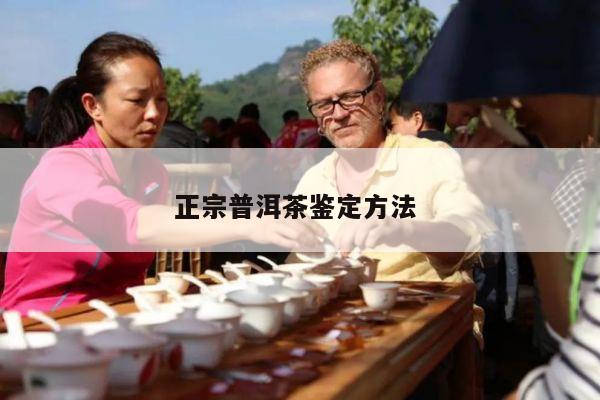 正宗普洱茶鉴定方法 