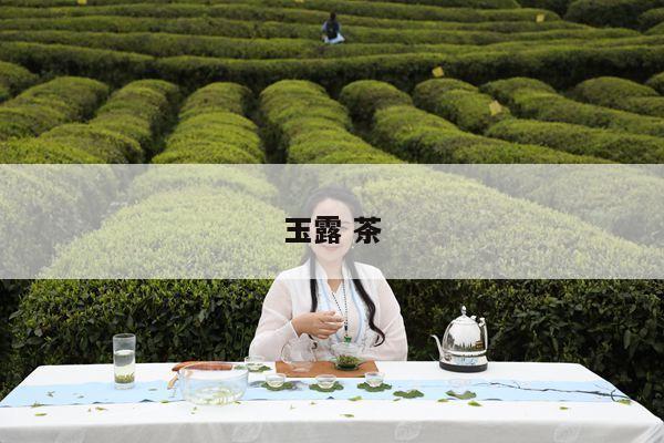 玉露 茶