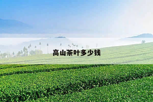 高山茶叶多少钱