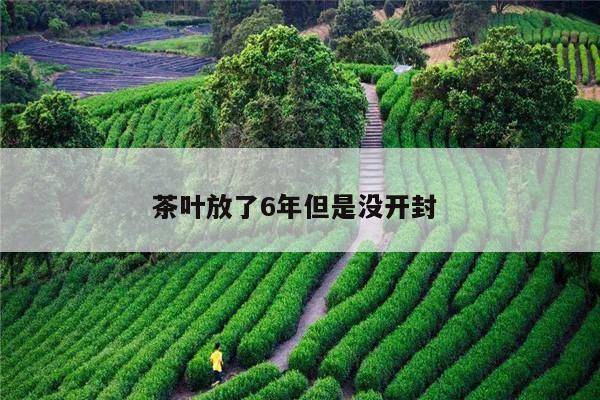 茶叶放了6年但是没开封 