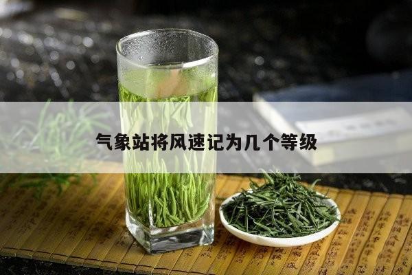 气象站将风速记为几个等级