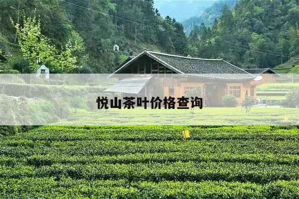 悦山茶叶价格查询