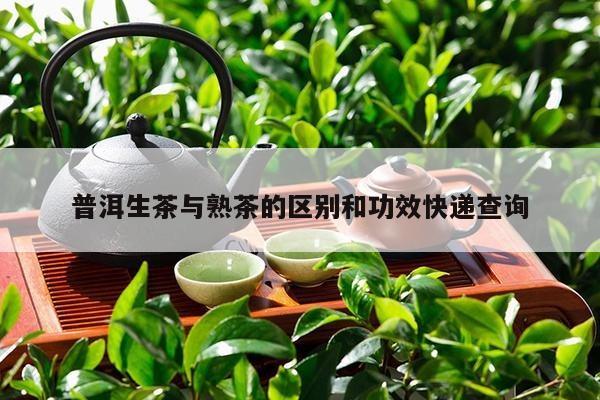 普洱生茶与熟茶的区别和功效快递查询