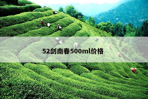 52剑南春500ml价格 