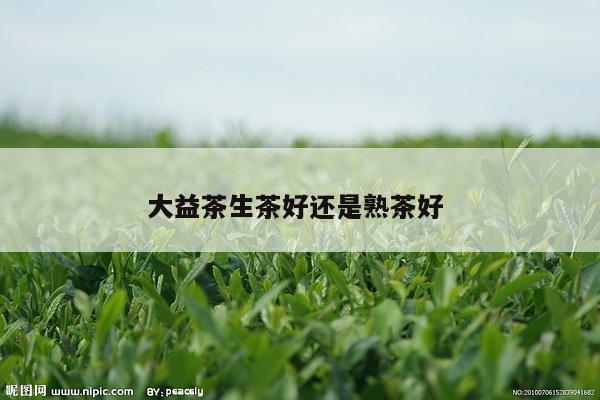 大益茶生茶好还是熟茶好 