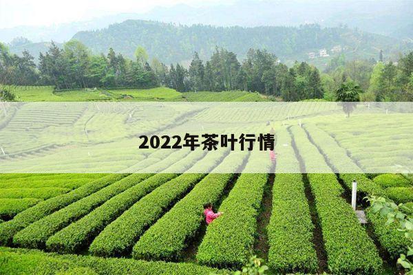 2022年茶叶行情