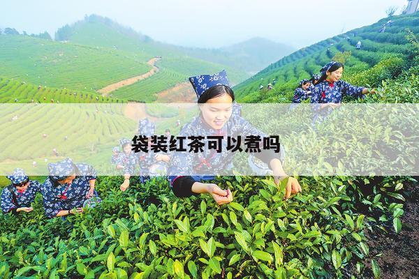 袋装红茶可以煮吗 