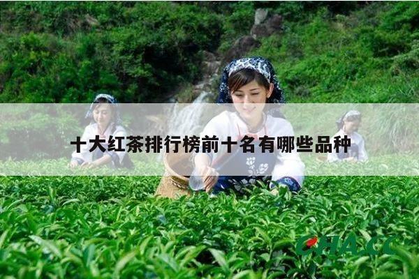 十大红茶排行榜前十名有哪些品种