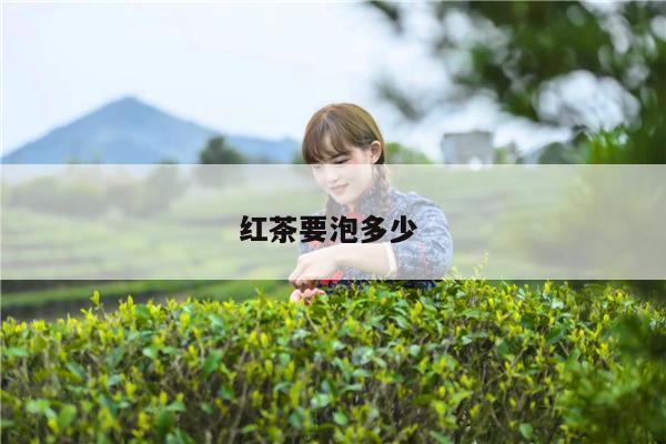 红茶要泡多少 