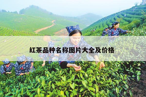 红茶品种名称图片大全及价格 