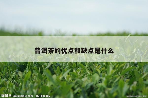 普洱茶的优点和缺点是什么