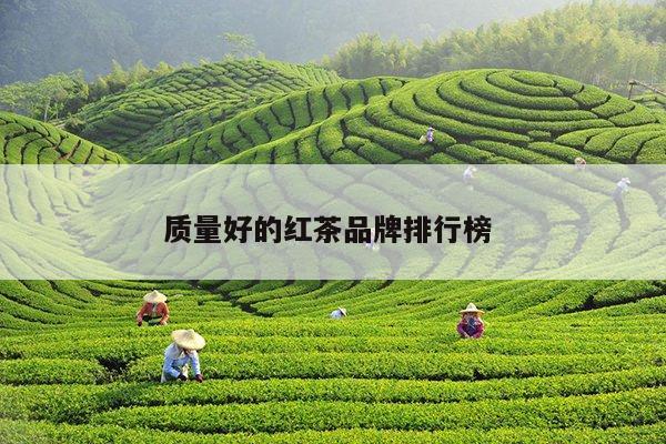 质量好的红茶品牌排行榜 