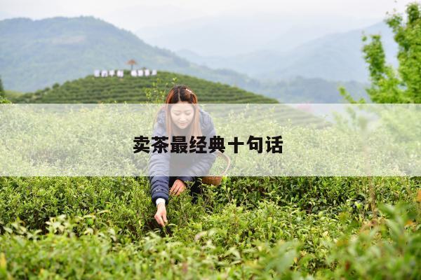 卖茶最经典十句话 