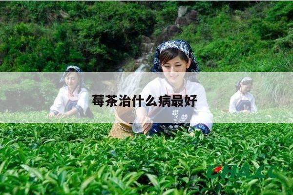 莓茶治什么病最好 