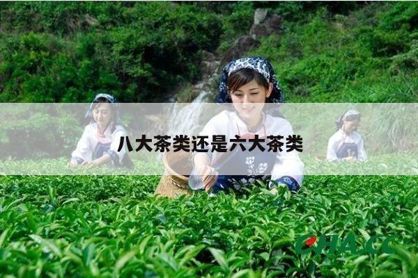 八大茶类还是六大茶类