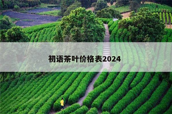 初语茶叶价格表2024 