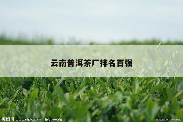 云南普洱茶厂排名百强