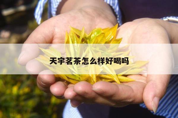 天宇茗茶怎么样好喝吗