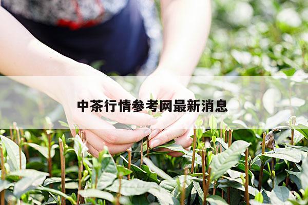 中茶行情参考网最新消息 