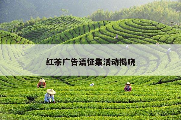 红茶广告语征集活动揭晓