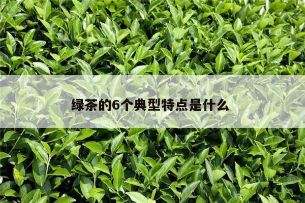 绿茶的6个典型特点是什么 