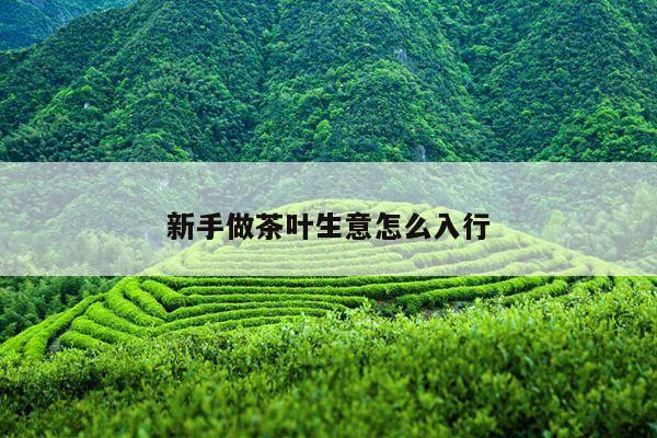 新手做茶叶生意怎么入行