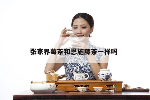 张家界莓茶和恩施藤茶一样吗 