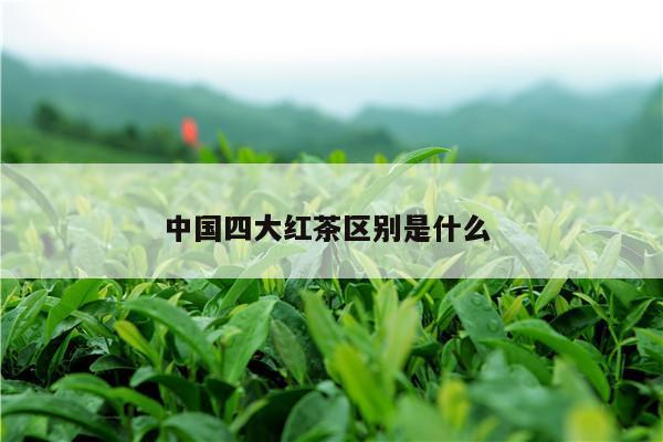 中国四大红茶区别是什么 