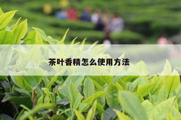 茶叶香精怎么使用方法 