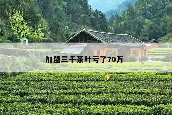 加盟三千茶叶亏了70万 