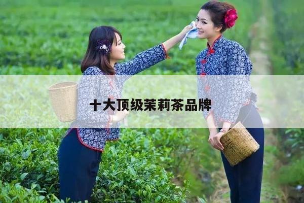 十大顶级茉莉茶品牌 