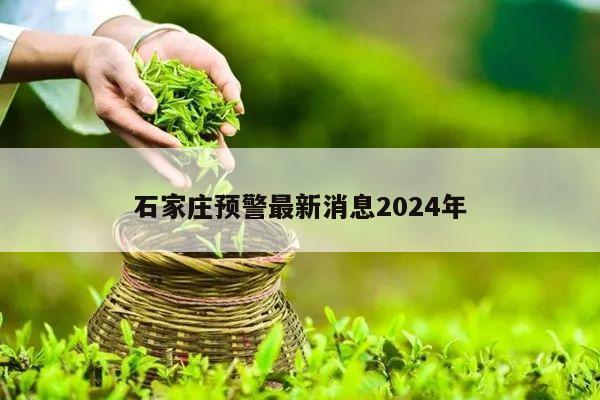 石家庄预警最新消息2024年