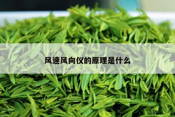 风速风向仪的原理是什么