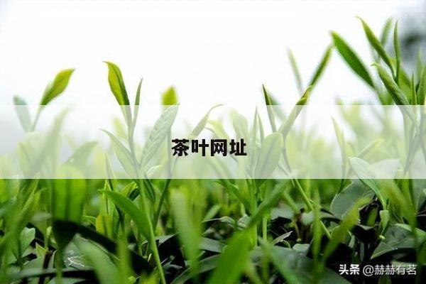 茶叶网址 