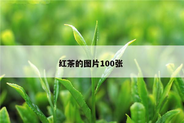 红茶的图片100张 