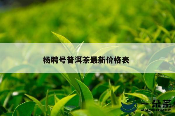 杨聘号普洱茶最新价格表 