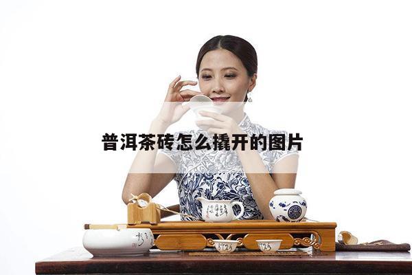 普洱茶砖怎么撬开的图片 