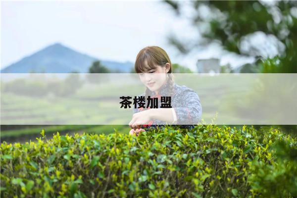 茶楼加盟 