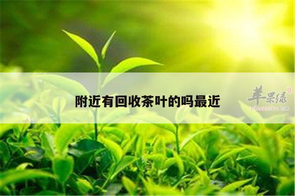 附近有回收茶叶的吗最近