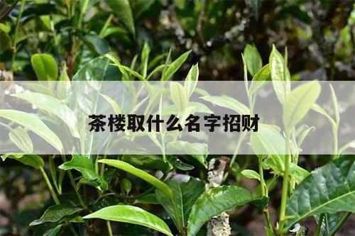 茶楼取什么名字招财 