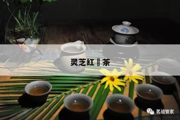 灵芝红栆茶