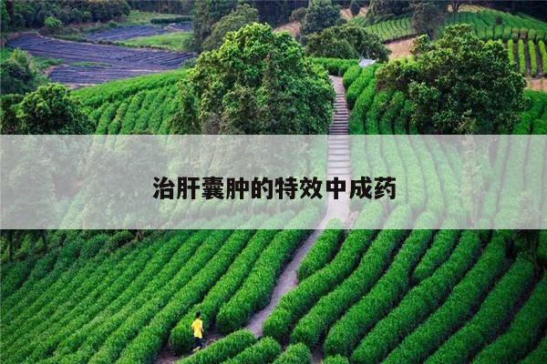 治肝囊肿的特效中成药