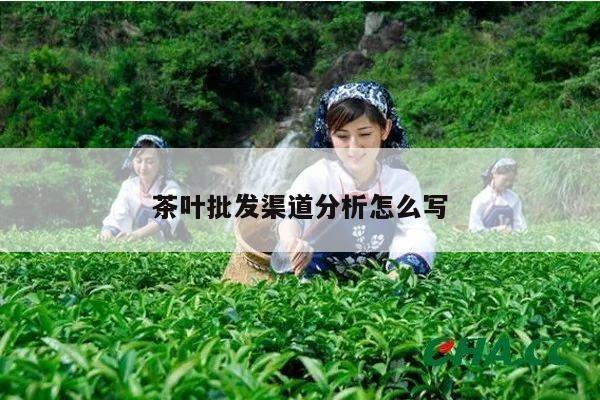 茶叶批发渠道分析怎么写