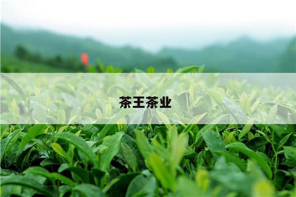 茶王茶业 